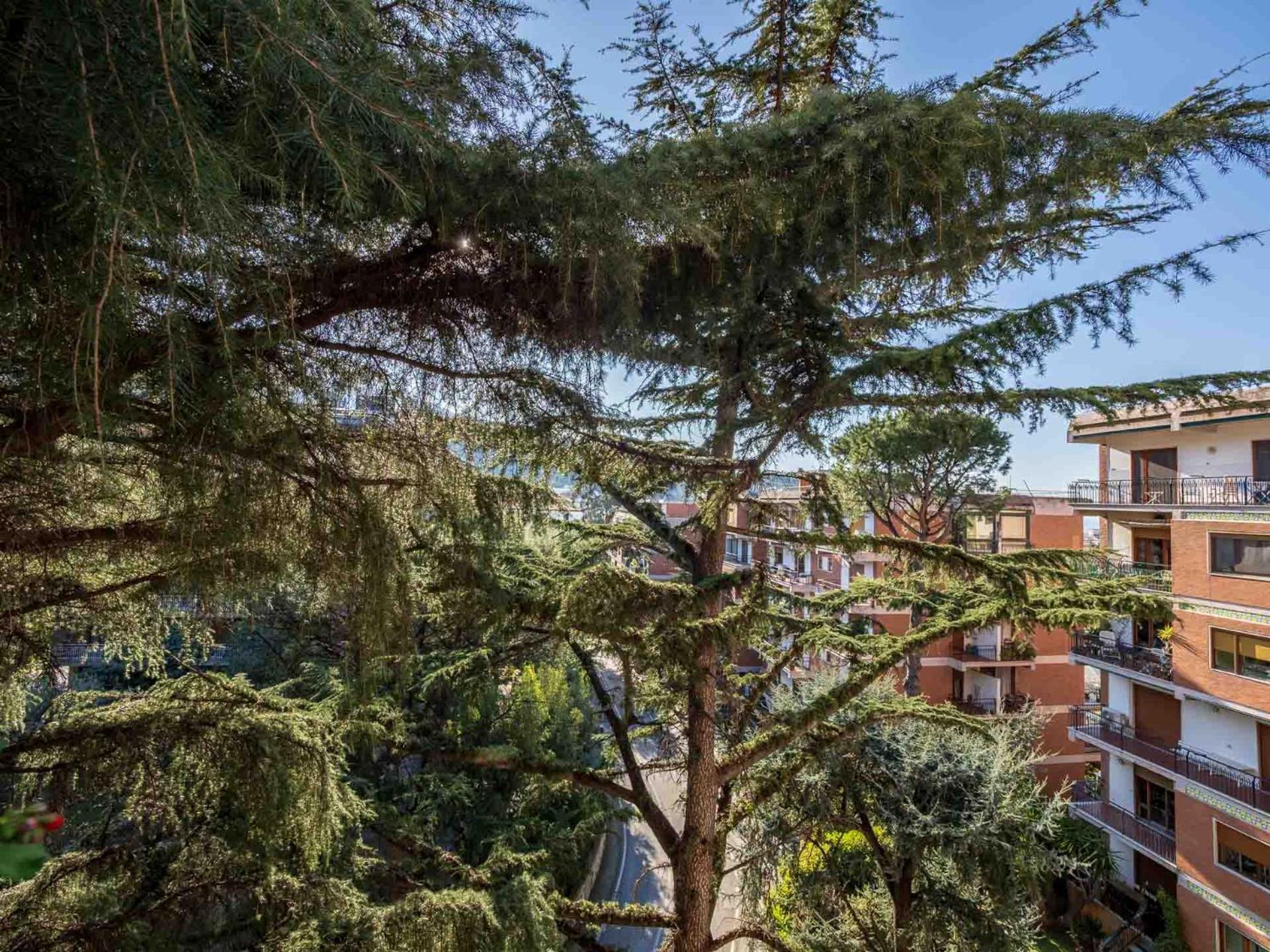 Pine House Sorrento Apartment Ngoại thất bức ảnh